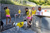Chrt_dostihy_Greyhound_park_motol_Summer_Prix_Praha_2017_IMG_7091.jpg
