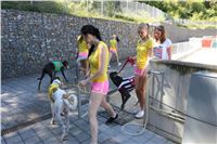 Chrt_dostihy_Greyhound_park_motol_Summer_Prix_Praha_2017_IMG_7092.jpg