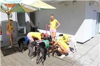 Chrt_dostihy_Greyhound_park_motol_Summer_Prix_Praha_2017_IMG_7100.jpg