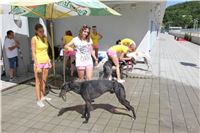 Chrt_dostihy_Greyhound_park_motol_Summer_Prix_Praha_2017_IMG_7106.jpg