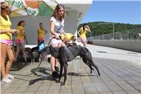 Chrt_dostihy_Greyhound_park_motol_Summer_Prix_Praha_2017_IMG_7107.jpg