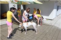 Chrt_dostihy_Greyhound_park_motol_Summer_Prix_Praha_2017_IMG_7110.jpg