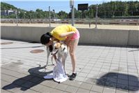 Chrt_dostihy_Greyhound_park_motol_Summer_Prix_Praha_2017_IMG_7132.jpg