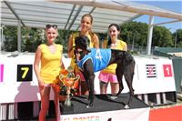 Chrt_dostihy_Greyhound_park_motol_Summer_Prix_Praha_2017_IMG_7154.jpg