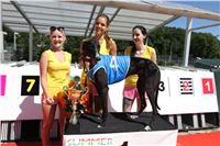 Chrt_dostihy_Greyhound_park_motol_Summer_Prix_Praha_2017_IMG_7155.jpg