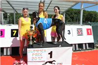 Chrt_dostihy_Greyhound_park_motol_Summer_Prix_Praha_2017_IMG_7156.jpg