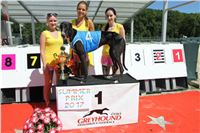 Chrt_dostihy_Greyhound_park_motol_Summer_Prix_Praha_2017_IMG_7157.jpg