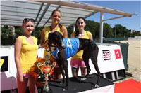 Chrt_dostihy_Greyhound_park_motol_Summer_Prix_Praha_2017_IMG_7159.jpg