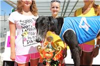 Chrt_dostihy_Greyhound_park_motol_Summer_Prix_Praha_2017_IMG_7161.jpg