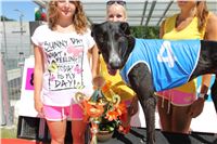 Chrt_dostihy_Greyhound_park_motol_Summer_Prix_Praha_2017_IMG_7162.jpg