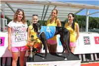 Chrt_dostihy_Greyhound_park_motol_Summer_Prix_Praha_2017_IMG_7163.jpg