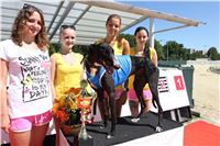 Chrt_dostihy_Greyhound_park_motol_Summer_Prix_Praha_2017_IMG_7165.jpg