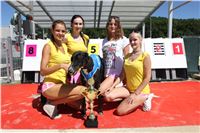 Chrt_dostihy_Greyhound_park_motol_Summer_Prix_Praha_2017_IMG_7174.jpg