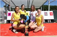 Chrt_dostihy_Greyhound_park_motol_Summer_Prix_Praha_2017_IMG_7175.jpg