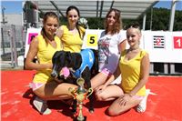 Chrt_dostihy_Greyhound_park_motol_Summer_Prix_Praha_2017_IMG_7176.jpg