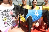 Chrt_dostihy_Greyhound_park_motol_Summer_Prix_Praha_2017_IMG_7182.jpg