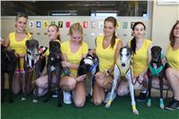 Chrt_dostihy_Greyhound_park_motol_Summer_Prix_Praha_2017_IMG_7200.jpg