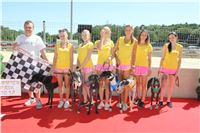 Chrt_dostihy_Greyhound_park_motol_Summer_Prix_Praha_2017_IMG_7203.jpg