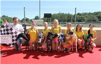 Chrt_dostihy_Greyhound_park_motol_Summer_Prix_Praha_2017_IMG_7204.jpg