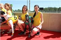 Chrt_dostihy_Greyhound_park_motol_Summer_Prix_Praha_2017_IMG_7205.jpg