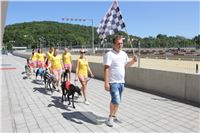 Chrt_dostihy_Greyhound_park_motol_Summer_Prix_Praha_2017_IMG_7210.jpg