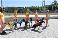 Chrt_dostihy_Greyhound_park_motol_Summer_Prix_Praha_2017_IMG_7213.jpg