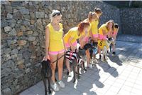 Chrt_dostihy_Greyhound_park_motol_Summer_Prix_Praha_2017_IMG_7223.jpg