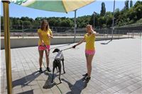 Chrt_dostihy_Greyhound_park_motol_Summer_Prix_Praha_2017_IMG_7269.jpg