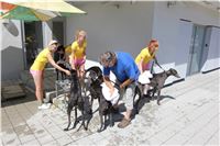 Chrt_dostihy_Greyhound_park_motol_Summer_Prix_Praha_2017_IMG_7272.jpg