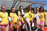 Chrt_dostihy_Greyhound_park_motol_Summer_Prix_Praha_2017_IMG_7289.JPG