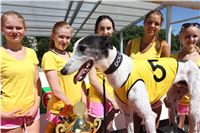 Chrt_dostihy_Greyhound_park_motol_Summer_Prix_Praha_2017_IMG_7290.JPG