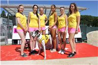 Chrt_dostihy_Greyhound_park_motol_Summer_Prix_Praha_2017_IMG_7295.jpg