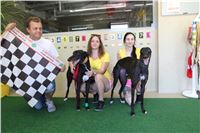 Chrt_dostihy_Greyhound_park_motol_Summer_Prix_Praha_2017_IMG_7301.jpg