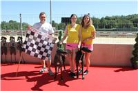 Chrt_dostihy_Greyhound_park_motol_Summer_Prix_Praha_2017_IMG_7303.jpg