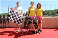 Chrt_dostihy_Greyhound_park_motol_Summer_Prix_Praha_2017_IMG_7304.jpg