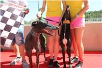 Chrt_dostihy_Greyhound_park_motol_Summer_Prix_Praha_2017_IMG_7307.jpg