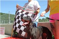Chrt_dostihy_Greyhound_park_motol_Summer_Prix_Praha_2017_IMG_7309.jpg