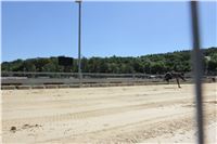 Chrt_dostihy_Greyhound_park_motol_Summer_Prix_Praha_2017_IMG_7314.jpg