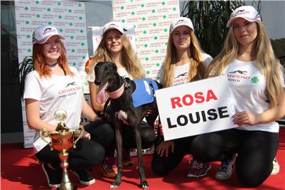 Chrti_dostihy_winner_Greyhound_Company_Cup_Racing_Prague_CGDF (2).JPG