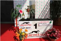 2. Chrti_dostihy_Greyhound_Company_Cup_Racing_Prague_CGDF_IMG_8390.jpg