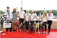 Chrti_dostihy_Greyhound_Company_Cup_Racing_Prague_CGDF_ IMG_8228.jpg