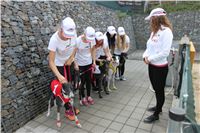 Chrti_dostihy_Greyhound_Company_Cup_Racing_Prague_CGDF_ IMG_8234.jpg