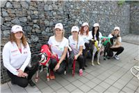 Chrti_dostihy_Greyhound_Company_Cup_Racing_Prague_CGDF_IMG_8239.jpg