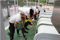 Chrti_dostihy_Greyhound_Company_Cup_Racing_Prague_CGDF_IMG_8241.jpg