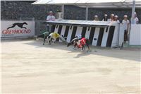 Chrti_dostihy_Greyhound_Company_Cup_Racing_Prague_CGDF_IMG_8244.jpg