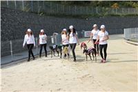 Chrti_dostihy_Greyhound_Company_Cup_Racing_Prague_CGDF_IMG_8256.jpg