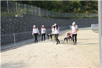 Chrti_dostihy_Greyhound_Company_Cup_Racing_Prague_CGDF_IMG_8257.jpg