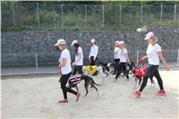 Chrti_dostihy_Greyhound_Company_Cup_Racing_Prague_CGDF_IMG_8260.jpg