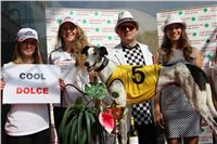 Chrti_dostihy_Greyhound_Company_Cup_Racing_Prague_CGDF_IMG_8283.jpg