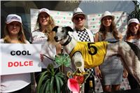 Chrti_dostihy_Greyhound_Company_Cup_Racing_Prague_CGDF_IMG_8286.jpg